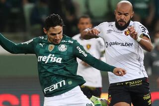 Confira onde assistir Sport x Palmeiras ao vivo com imagens